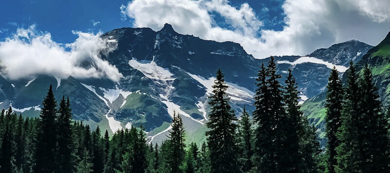 Leben auf Iperinea - Hochgebirge