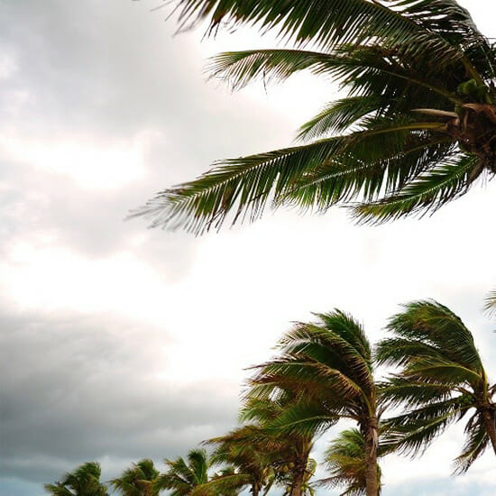 Das Element Wind in Naturgewalten - Die Insel der Götter