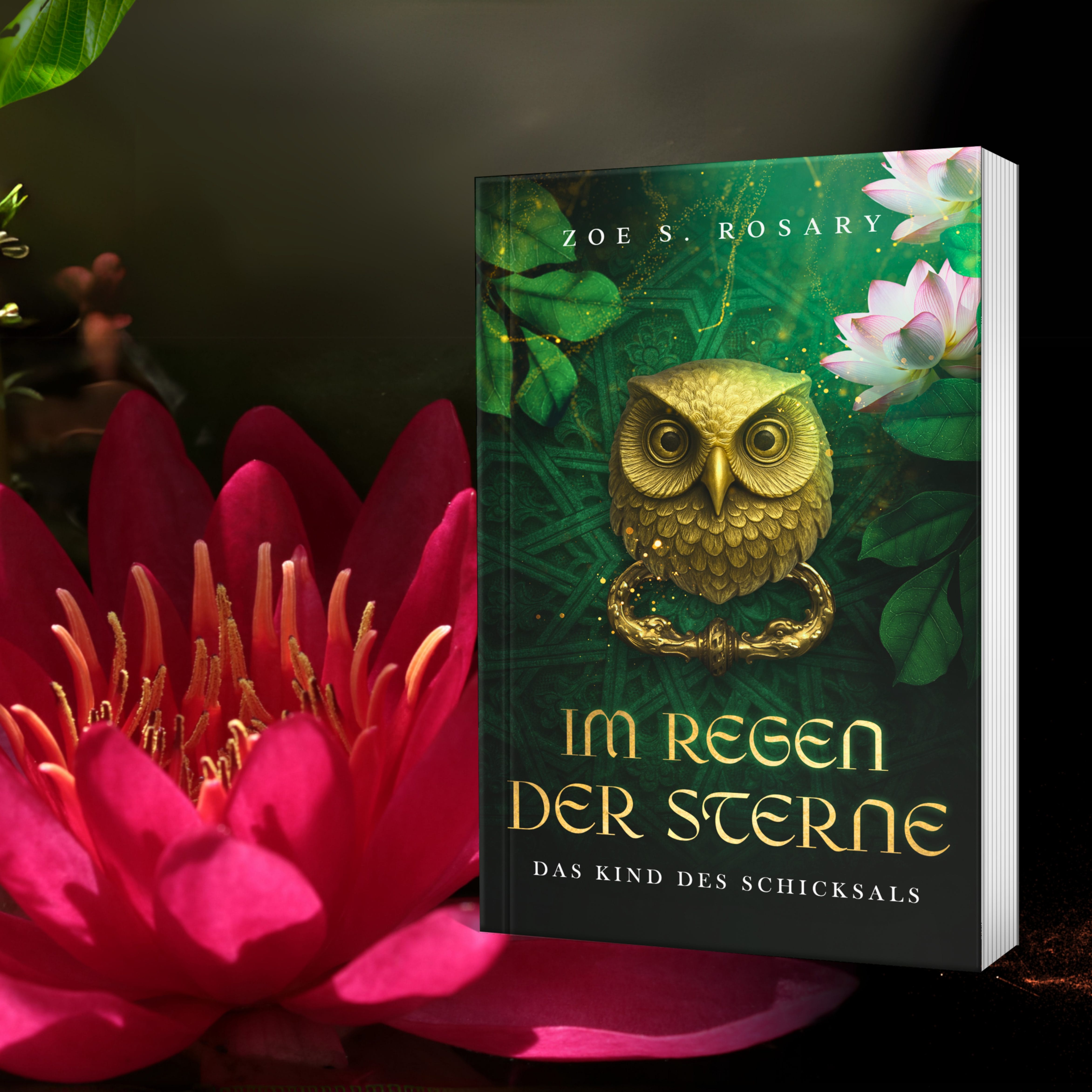 Erdentraum - Im Regen der Sterne - Band 1 - Romantasy - Zoe S. Rosary